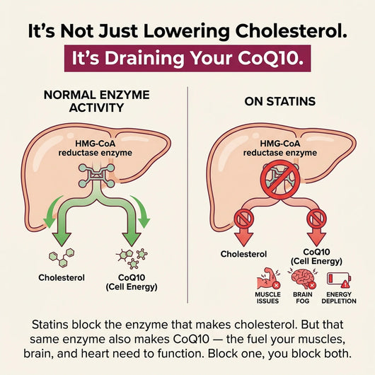 Lunessa Red Yeast Rice + COQ10 Gummies